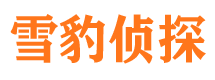 石龙市侦探公司